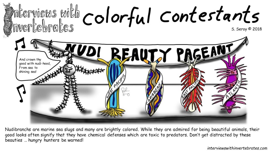 colorful_contestants