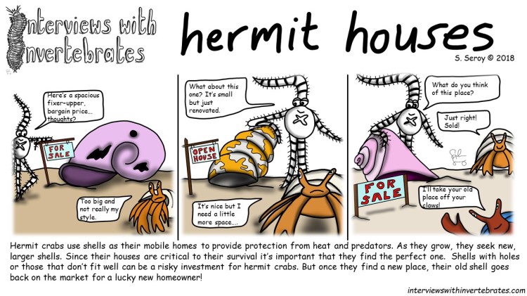 hermit_houses2