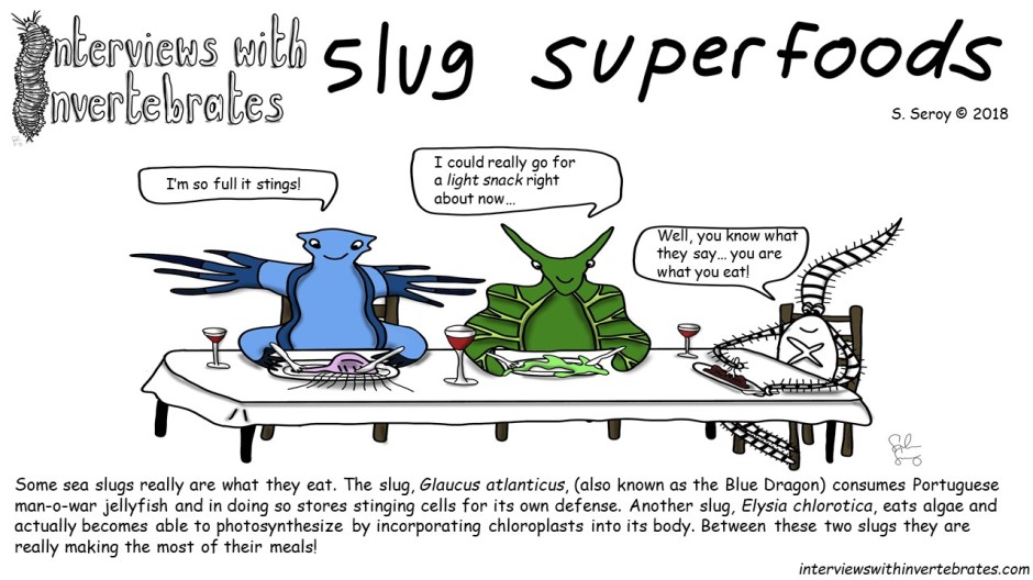 slug_superfoods