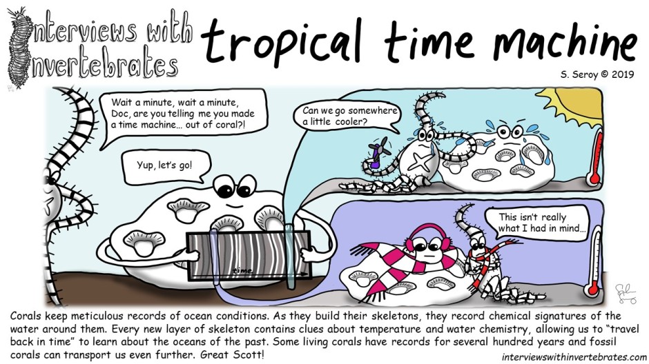tropical_time_machine