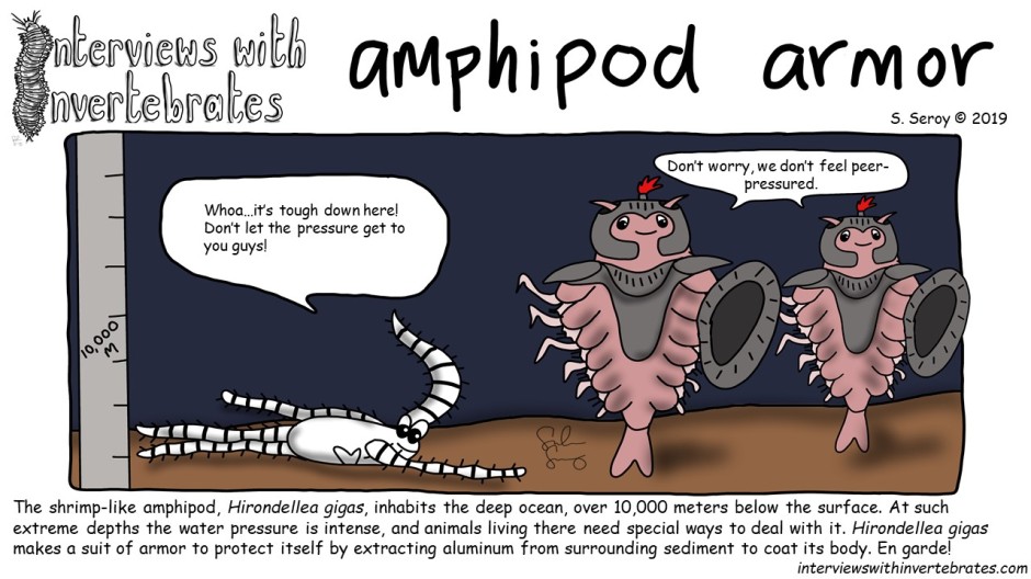 amphipod armor