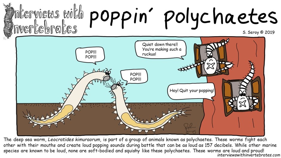 poppin_polychaetes