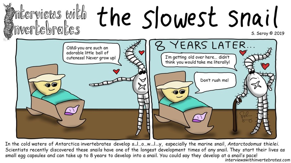 the_slowest_snail