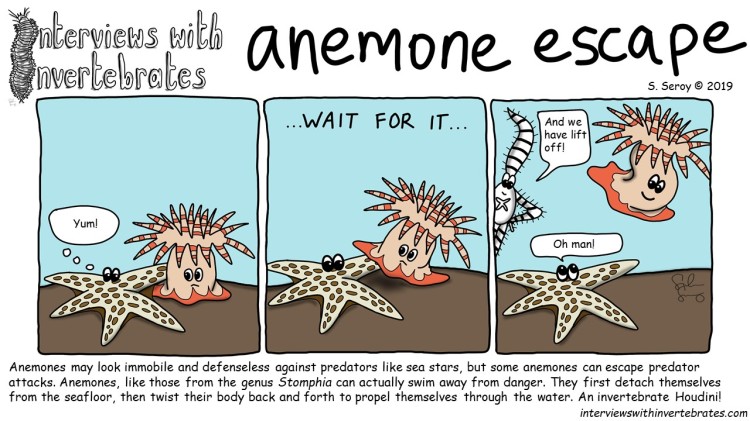 anemone_escape