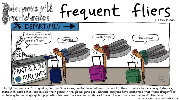 frequent_fliers