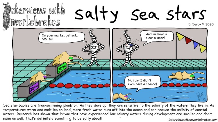 salty_sea_stars