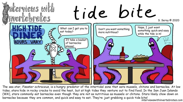 tide_bite3